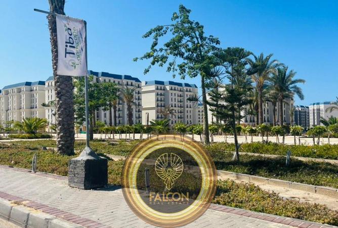 8444274 - Property Image 3