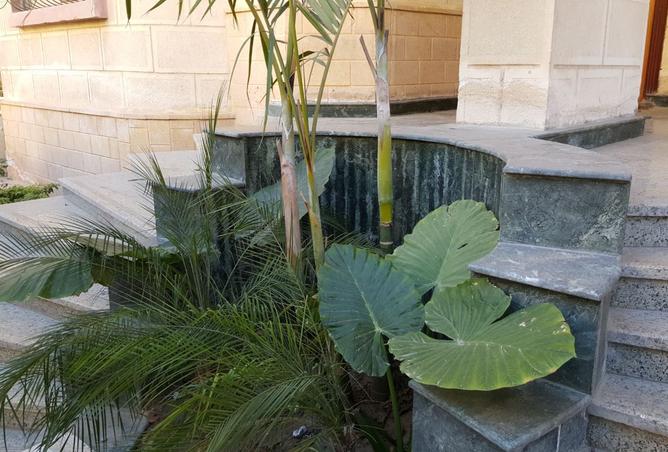 8167534 - صورة العقار 3