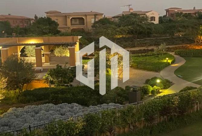 8236279 - Property Image 3