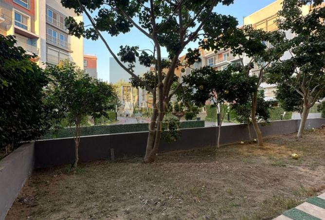 8380207 - Property Image 3