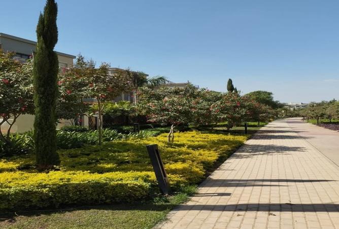 8001993 - صورة العقار 3