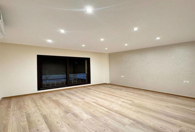 8195934 - Property Image 3