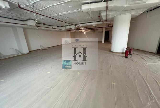 8135494 - Property Image 3