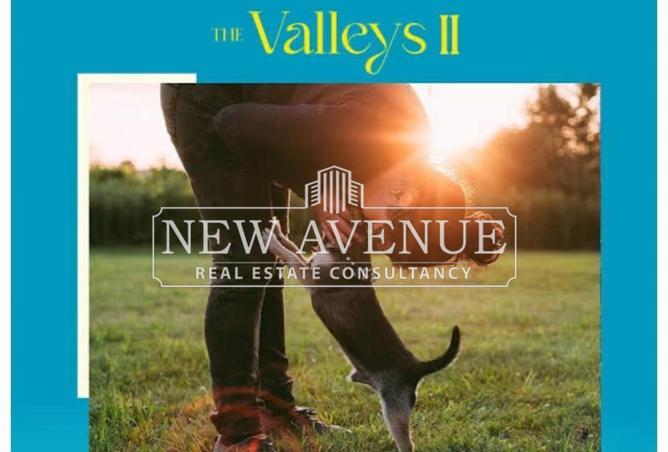 8219634 - صورة العقار 3