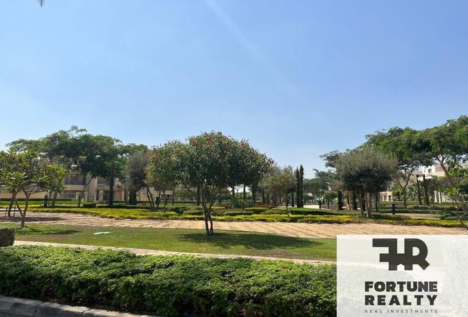 8344391 - Property Image 3