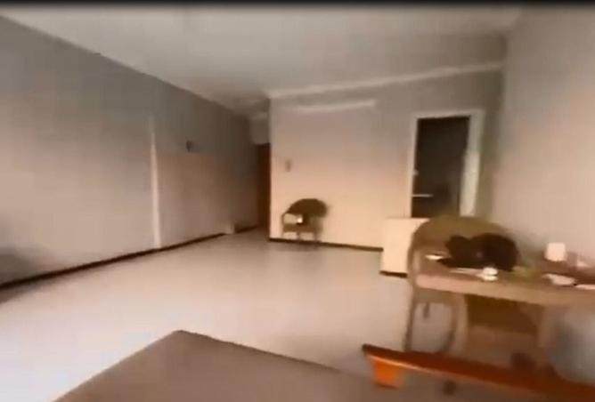 8313701 - صورة العقار 3