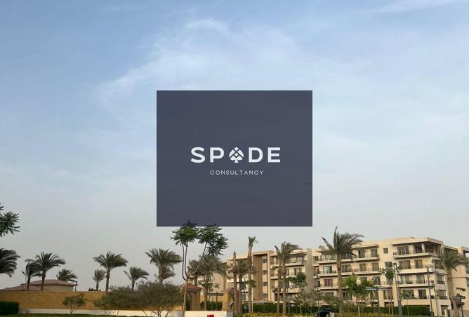 8026866 - صورة العقار 3
