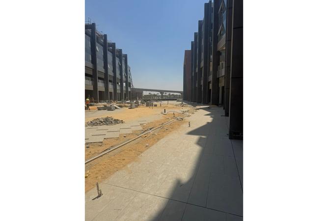 7982511 - Property Image 3