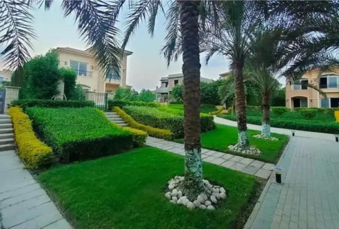 8048785 - صورة العقار 2