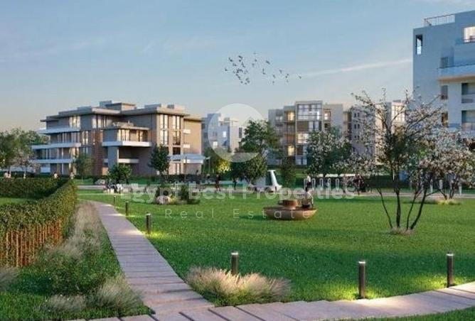 8150804 - Property Image 3