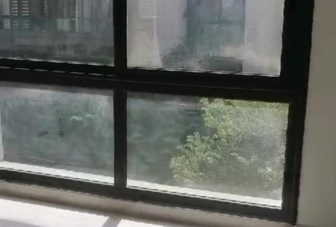 7940374 - صورة العقار 3