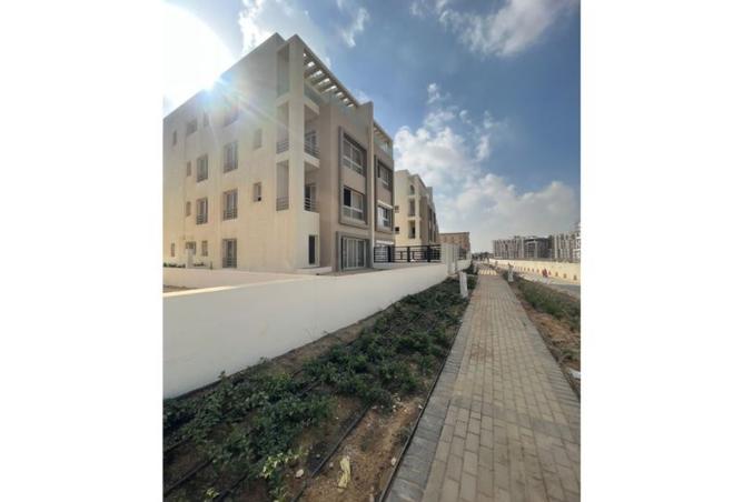 7931713 - Property Image 2