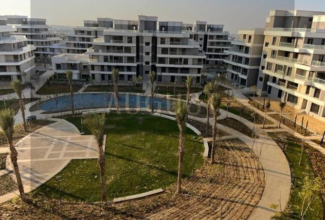 8290130 - Property Image 3