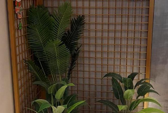 7903747 - صورة العقار 2