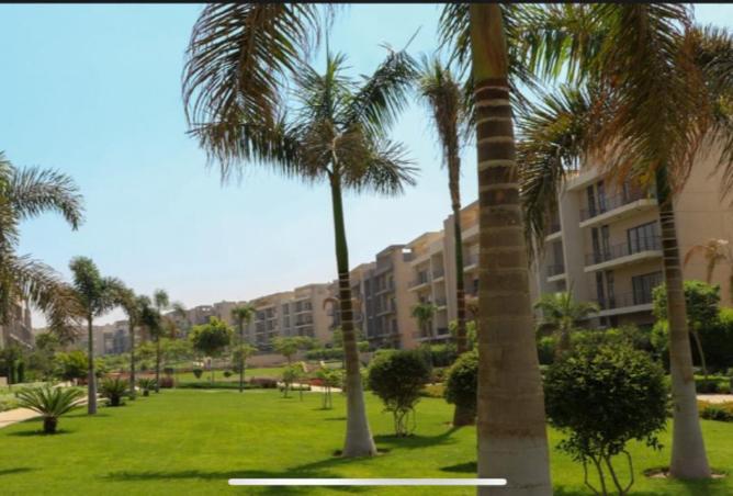 8350952 - Property Image 3