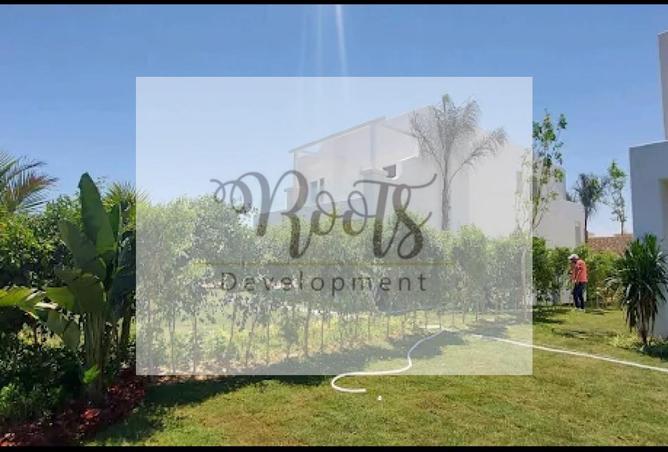 8072713 - Property Image 3