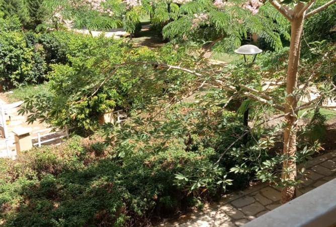 7893378 - الصورة الرئيسية للعقار