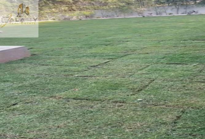 8372622 - صورة العقار 3