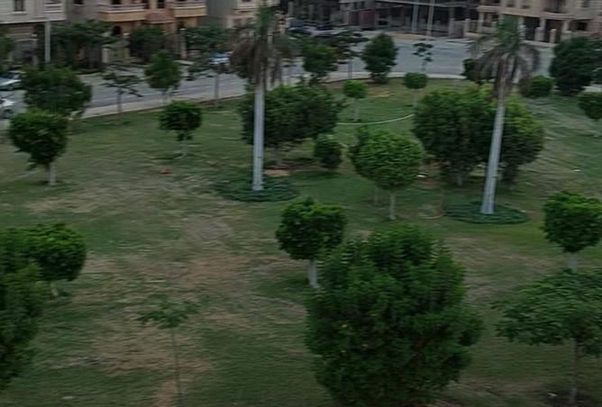 7938147 - صورة العقار 3