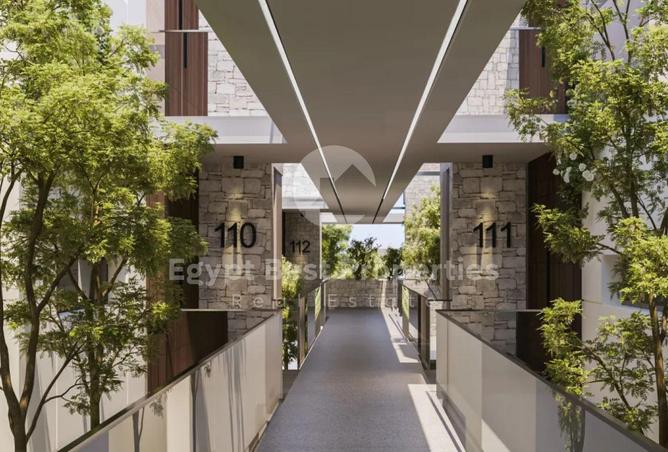 8151648 - Property Image 3