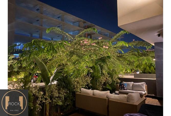 8416181 - صورة العقار 3