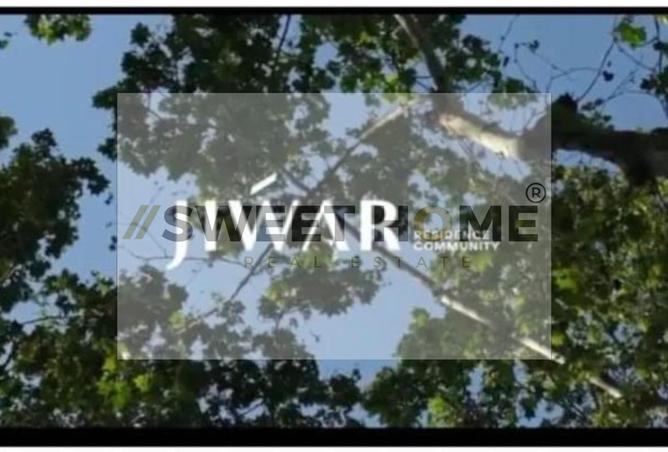 8042382 - صورة العقار 2