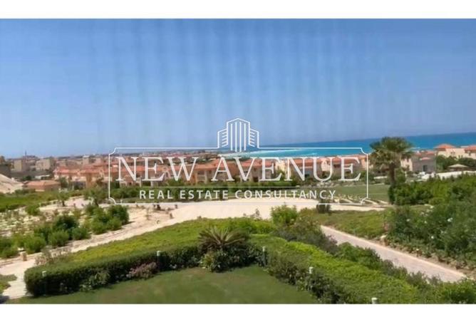 8404846 - Property Image 3