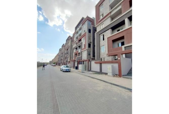 8019527 - Property Image 3