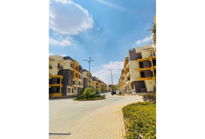 8085980 - Property Image 3