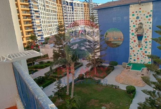 8084426 - Property Image 3