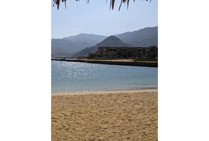 8013993 - Property Main Image