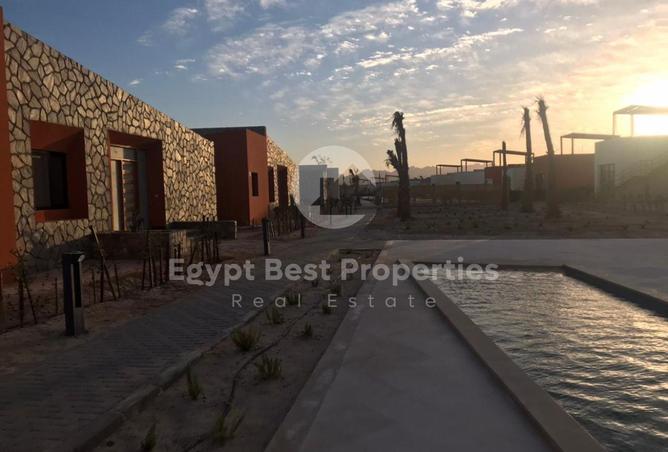 8433134 - Property Image 3