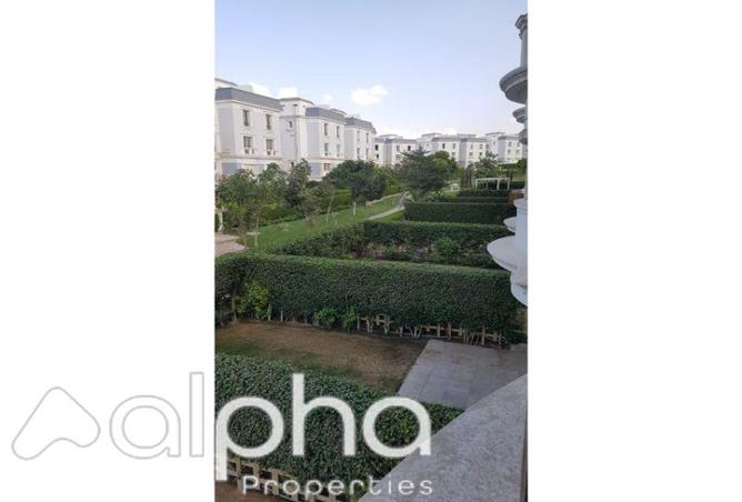 7993898 - صورة العقار 3