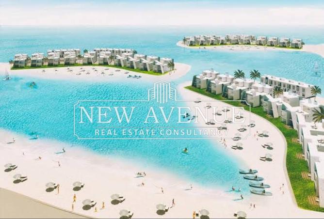 8410653 - Property Image 3