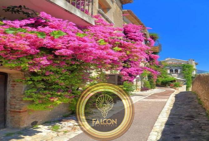 8225233 - صورة العقار 3