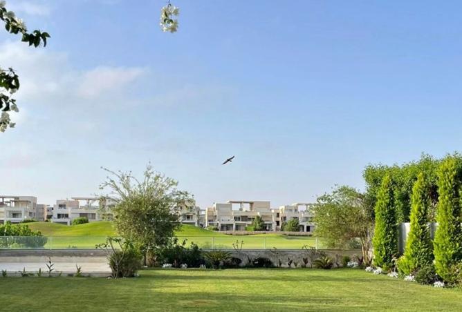 8248942 - صورة العقار 2