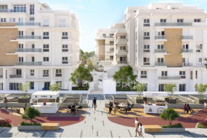 8134151 - Property Image 3