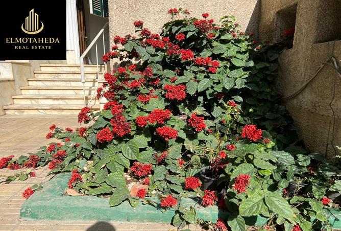 7468563 - صورة العقار 3