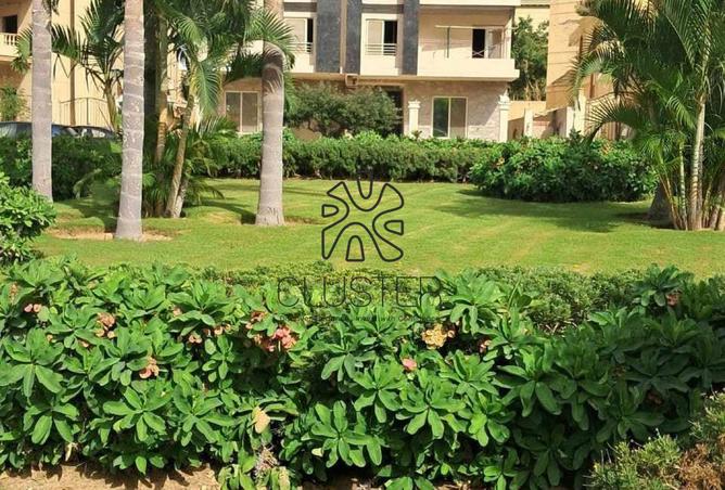 7743340 - صورة العقار 3