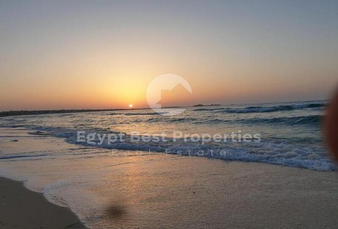 7976607 - Property Image 3