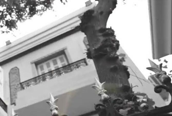 8446223 - Property Image 2