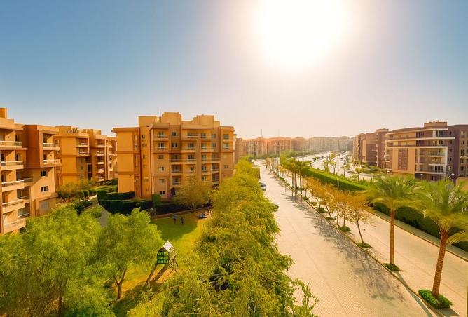 8195403 - صورة العقار 3