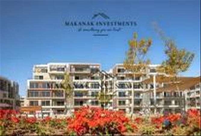 8421629 - Property Image 2