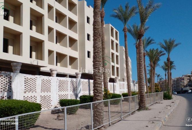 8038441 - Property Image 3