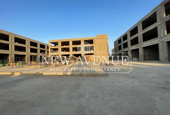 8374987 - Property Image 3