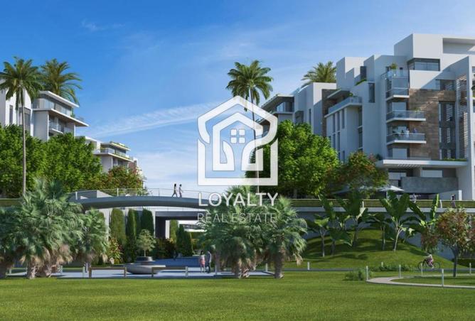 8067599 - Property Image 3
