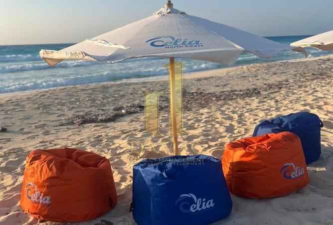 8333735 - صورة العقار 2