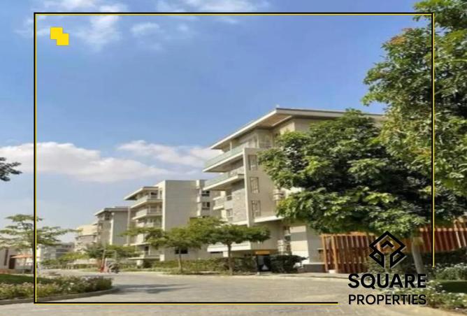 7937184 - Property Image 3