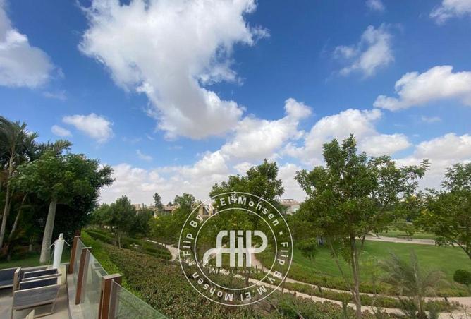 8126390 - Property Image 3