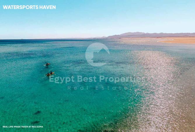 8203651 - صورة العقار 2